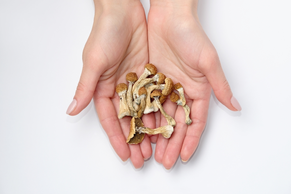 do shrooms show up on a drug test