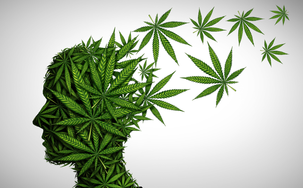 Does Weed Kill Brain Cells Or Is That Old Stigma?