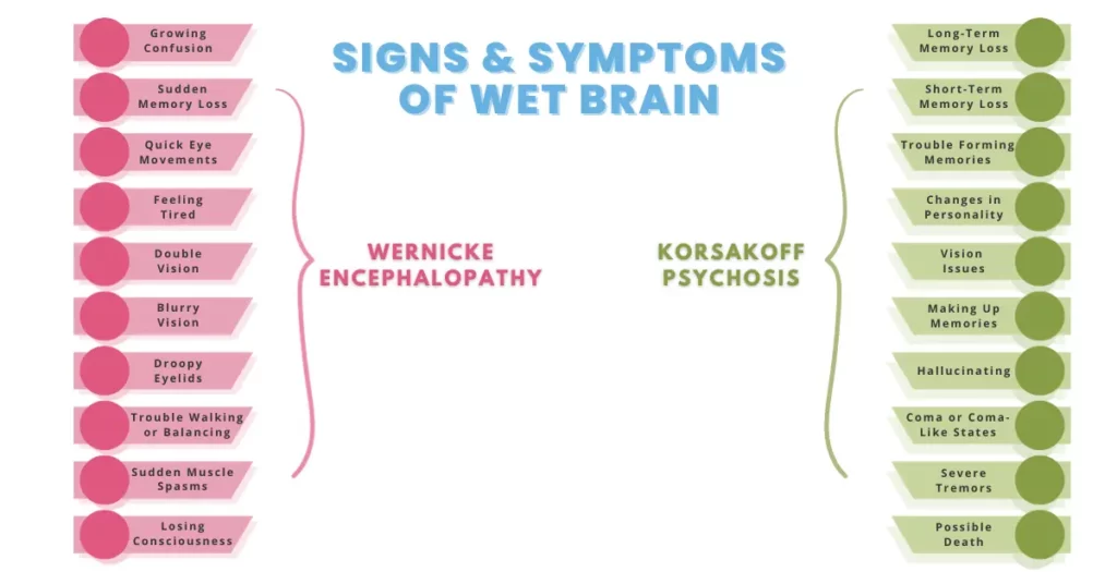 signs and symptoms of wet brain graphic