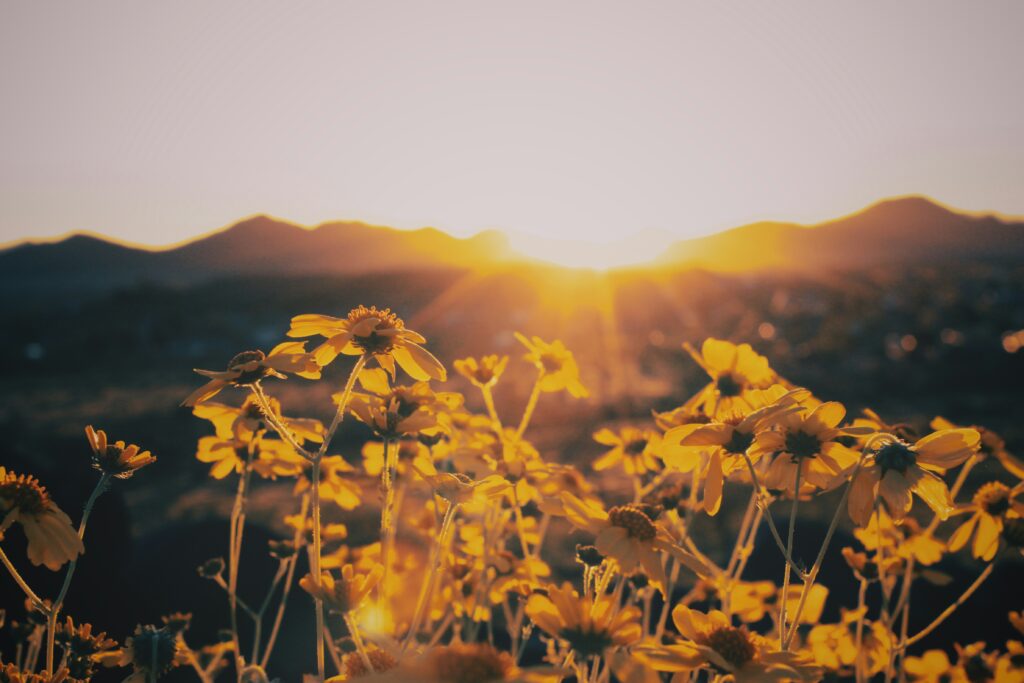Accessible recovery services for Knoxville, TN
