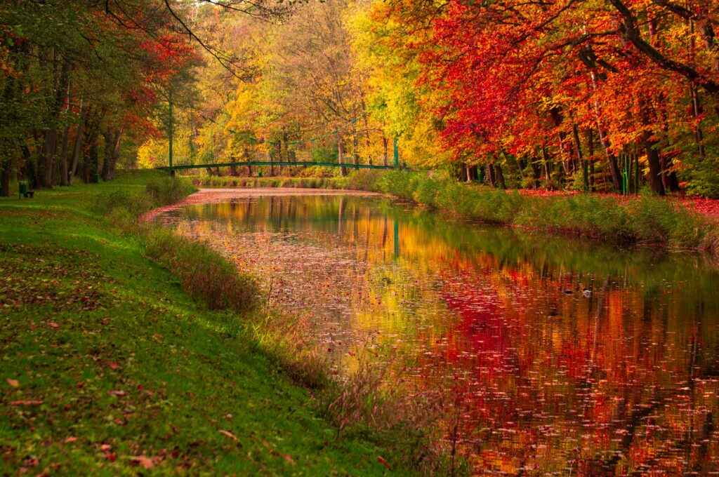 Gratitude journal ideas at Knoxville Recovery Center