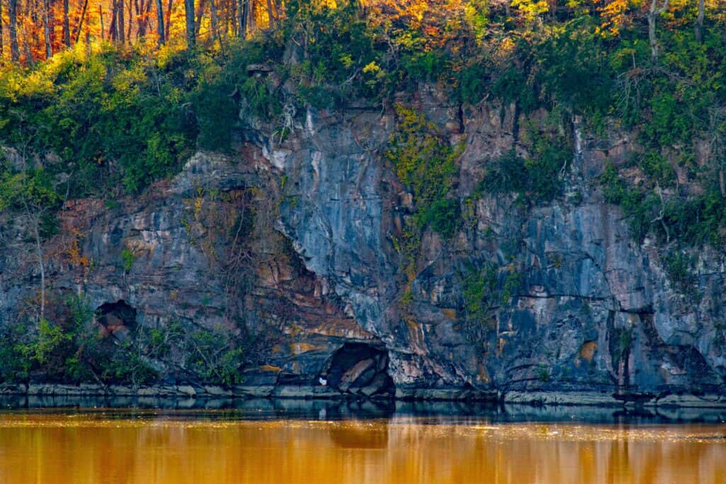 Blue Cross and Blue Shield rehab insurance in Knoxville, TN