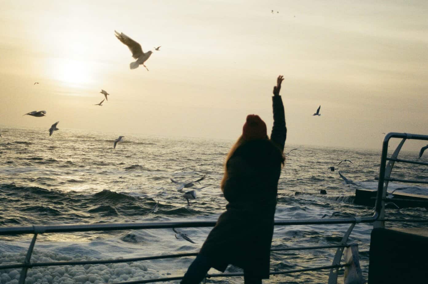 Recovery Reflections Daily Reflections: Going Into February With Confidence