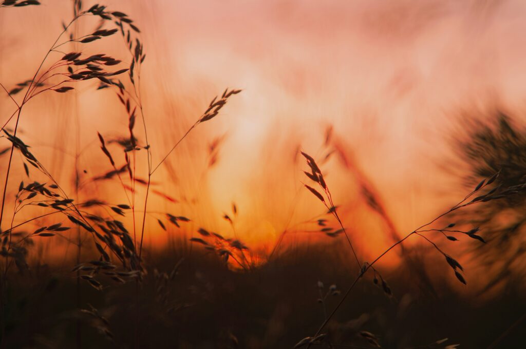 Building identity in addiction recovery