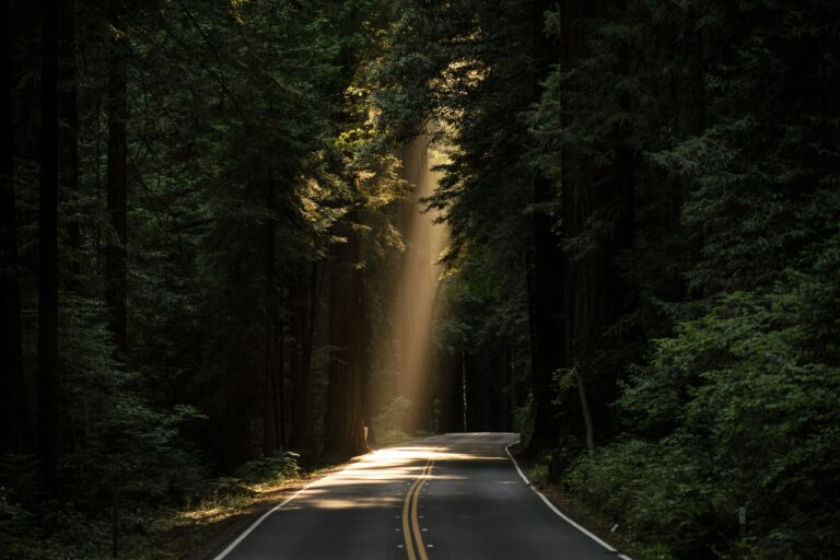 Self-advocacy in addiction recovery