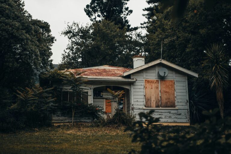 What is a trap house